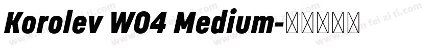 Korolev W04 Medium字体转换